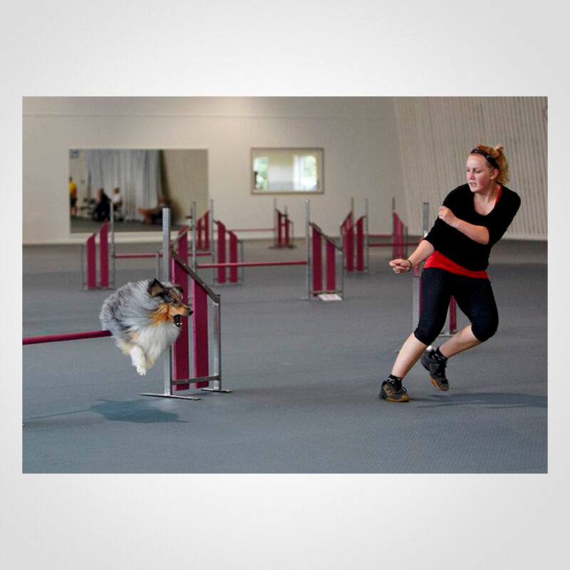 AGILITY MAT