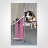 AGILITY MAT