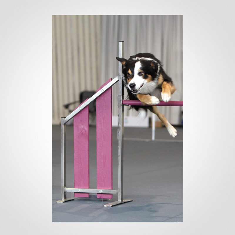 AGILITY MAT