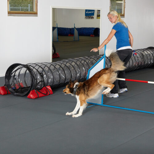 AGILITY MAT
