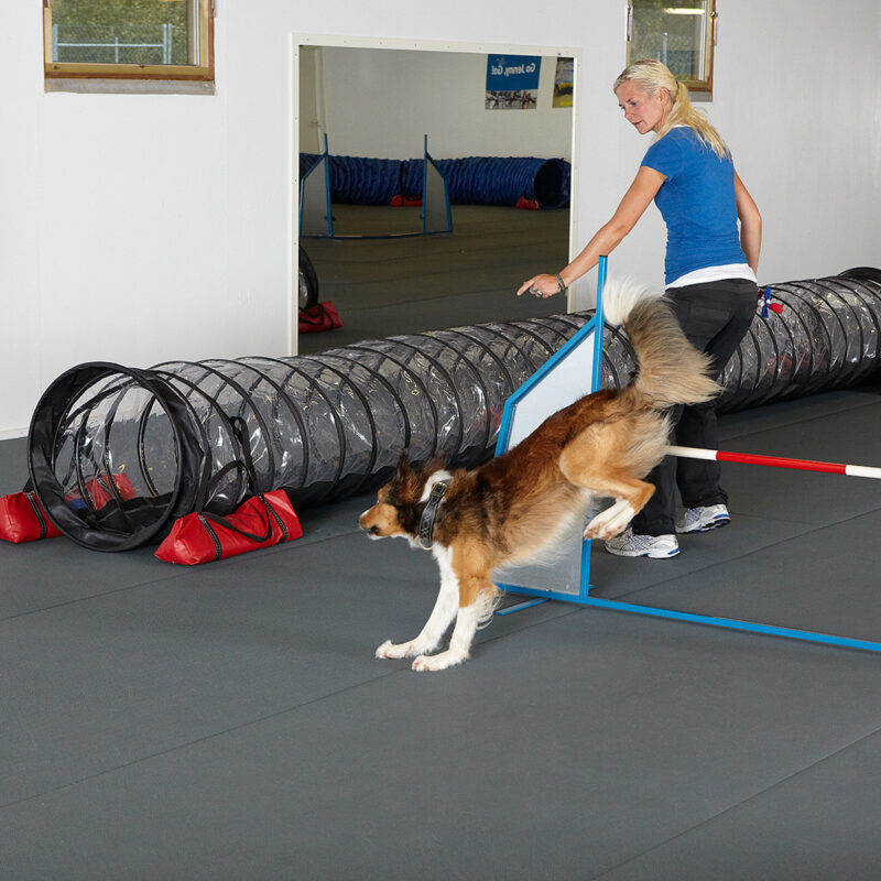 AGILITY MAT